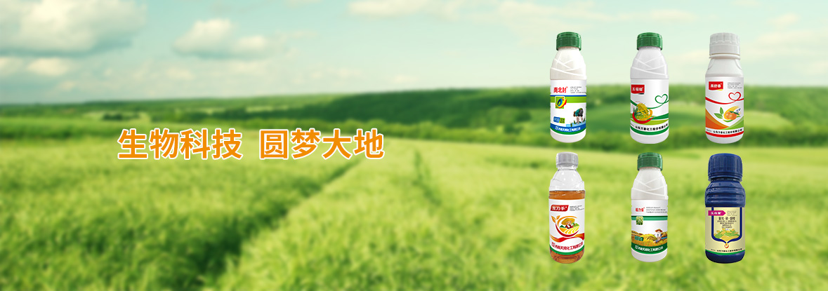 生物科技 圓夢大地